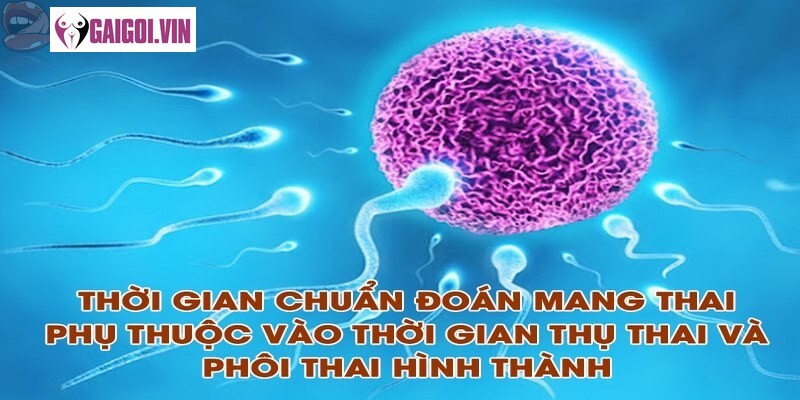 Cách tính thời điểm quan hệ để có thai?